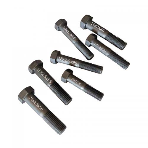 Roller Bolt